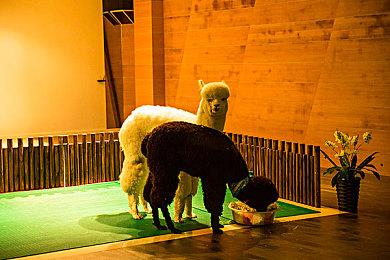 暴雪全新3A级生存游戏新细节：采用第一人称